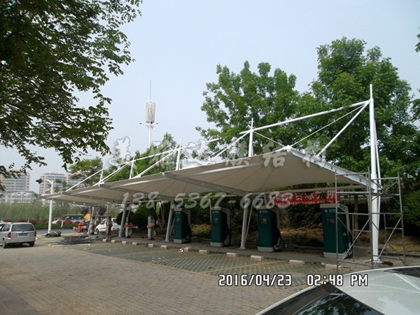 sam_0935